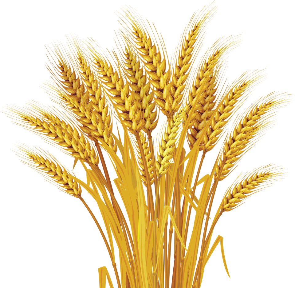 buy Agricultural