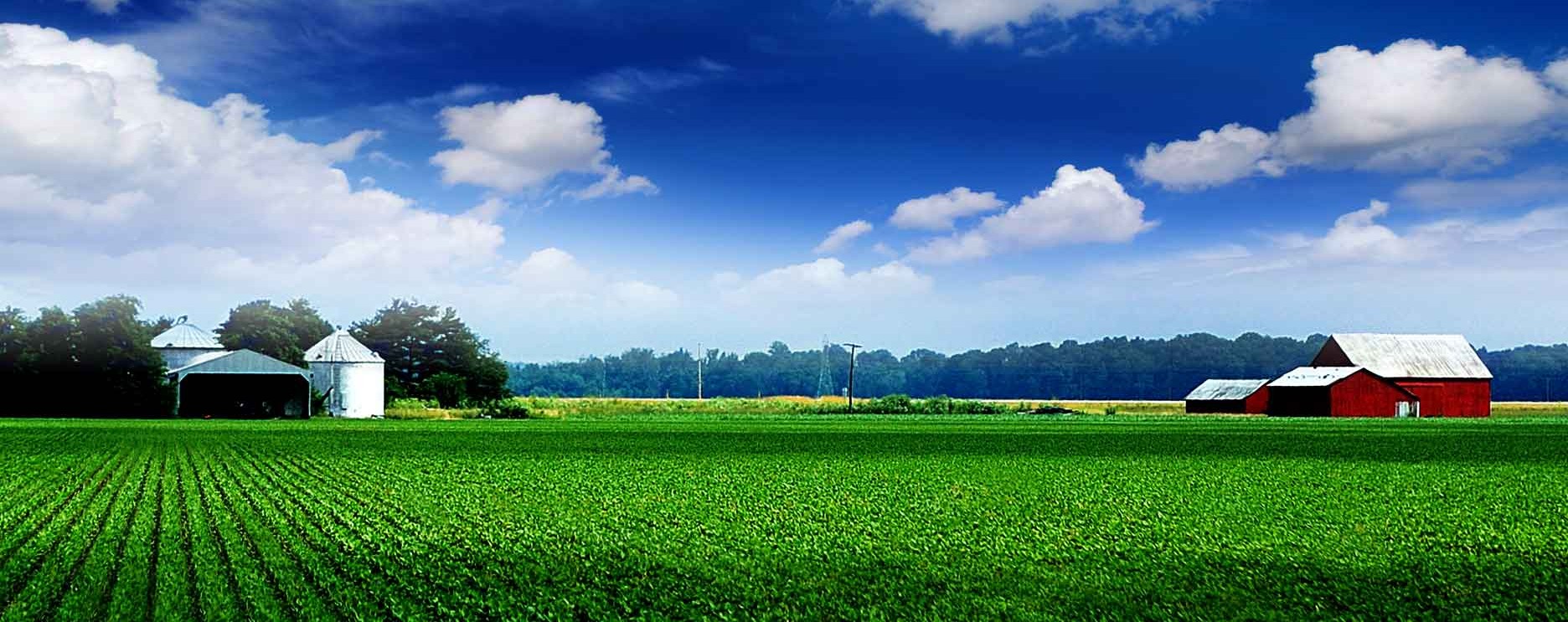 Agricultural